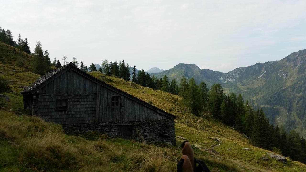 Ferienwohnungen Reinbacher - Primps Schladming Dış mekan fotoğraf