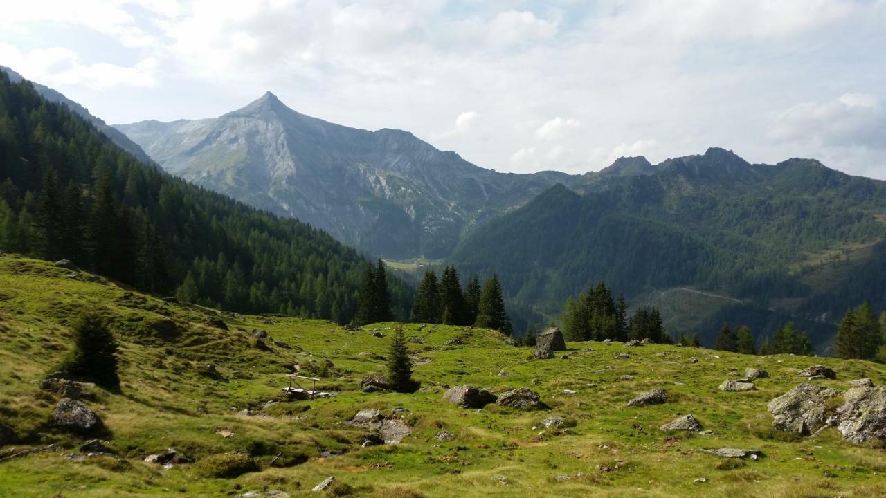 Ferienwohnungen Reinbacher - Primps Schladming Dış mekan fotoğraf