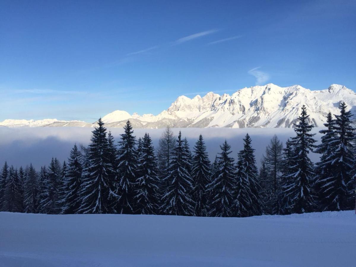 Ferienwohnungen Reinbacher - Primps Schladming Dış mekan fotoğraf